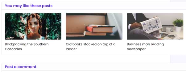 flexblog related posts screenshot