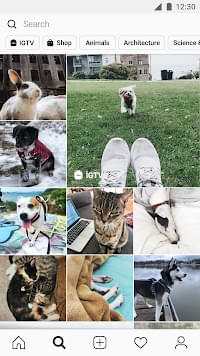 Instagram Pro apk 2023