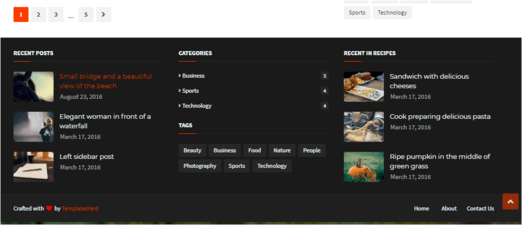 vector footer widgets